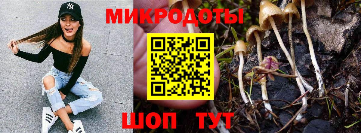 Галлюциногенные грибы Magic Shrooms Жигулёвск
